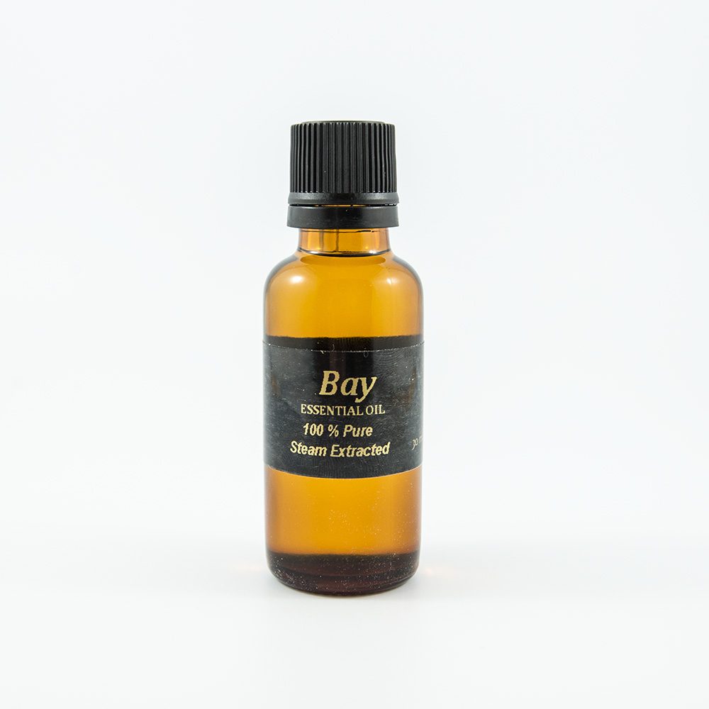 Bay Oil